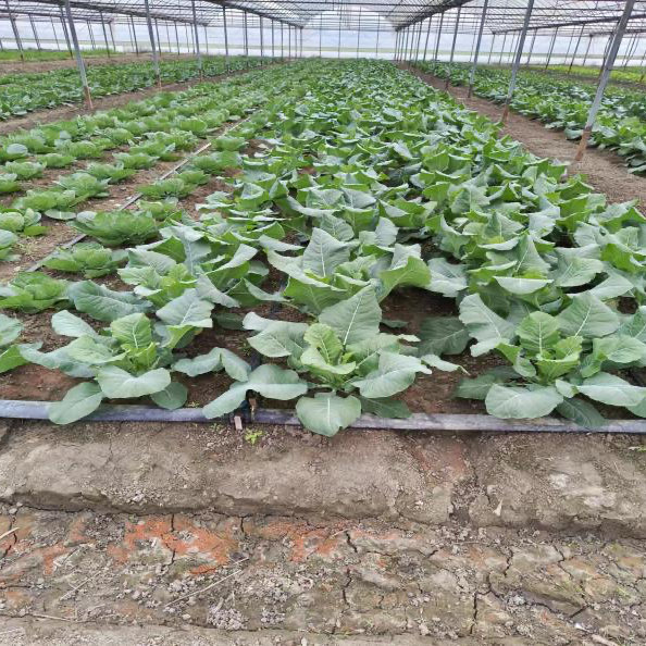 ba0b1501d8ca88d032f1474bc74252d7.png ba0b1501d8ca88d032f1474bc74252d7.png